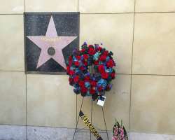 One of the famous boxing stars named Muhammad Ali?s star has a different story because his star is placed on the wall instead of the walkway as he app